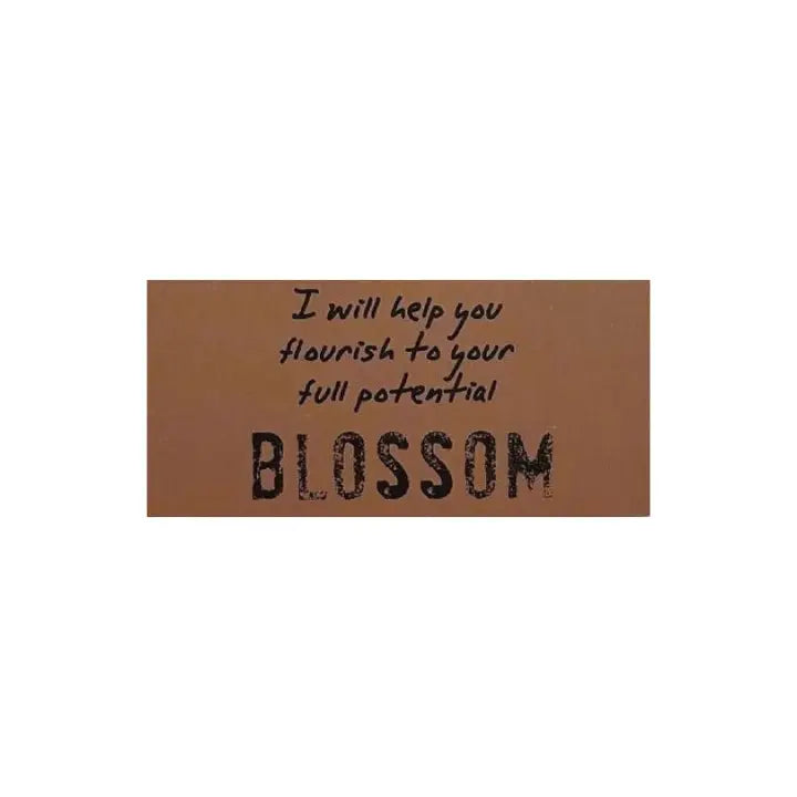 Blossom