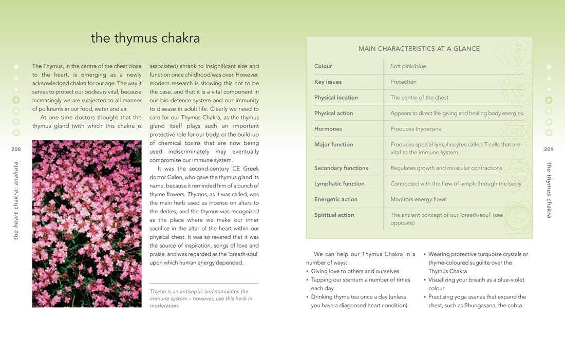 Chakra Bible