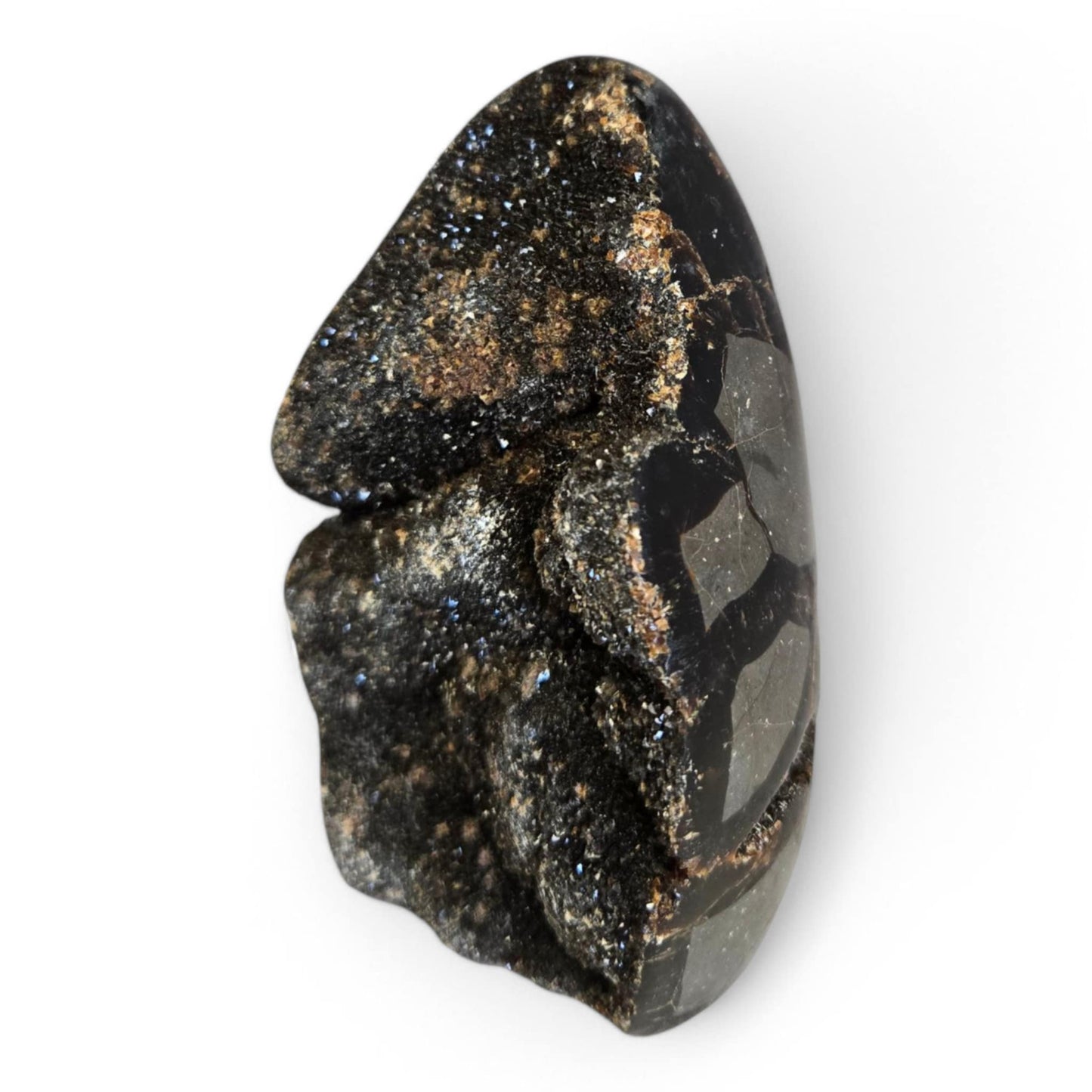 Septarian Eggs