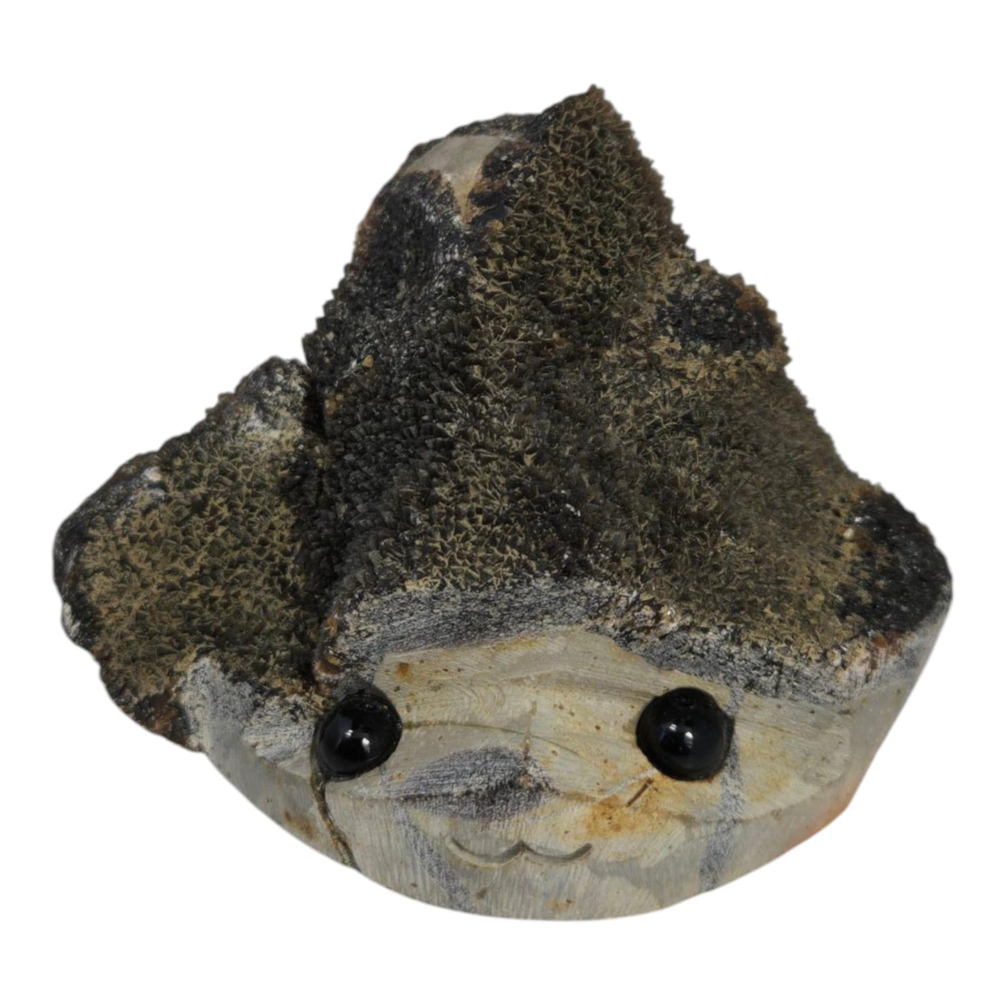Septarian Rock Pets