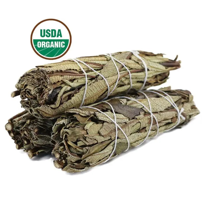Yerba Santa