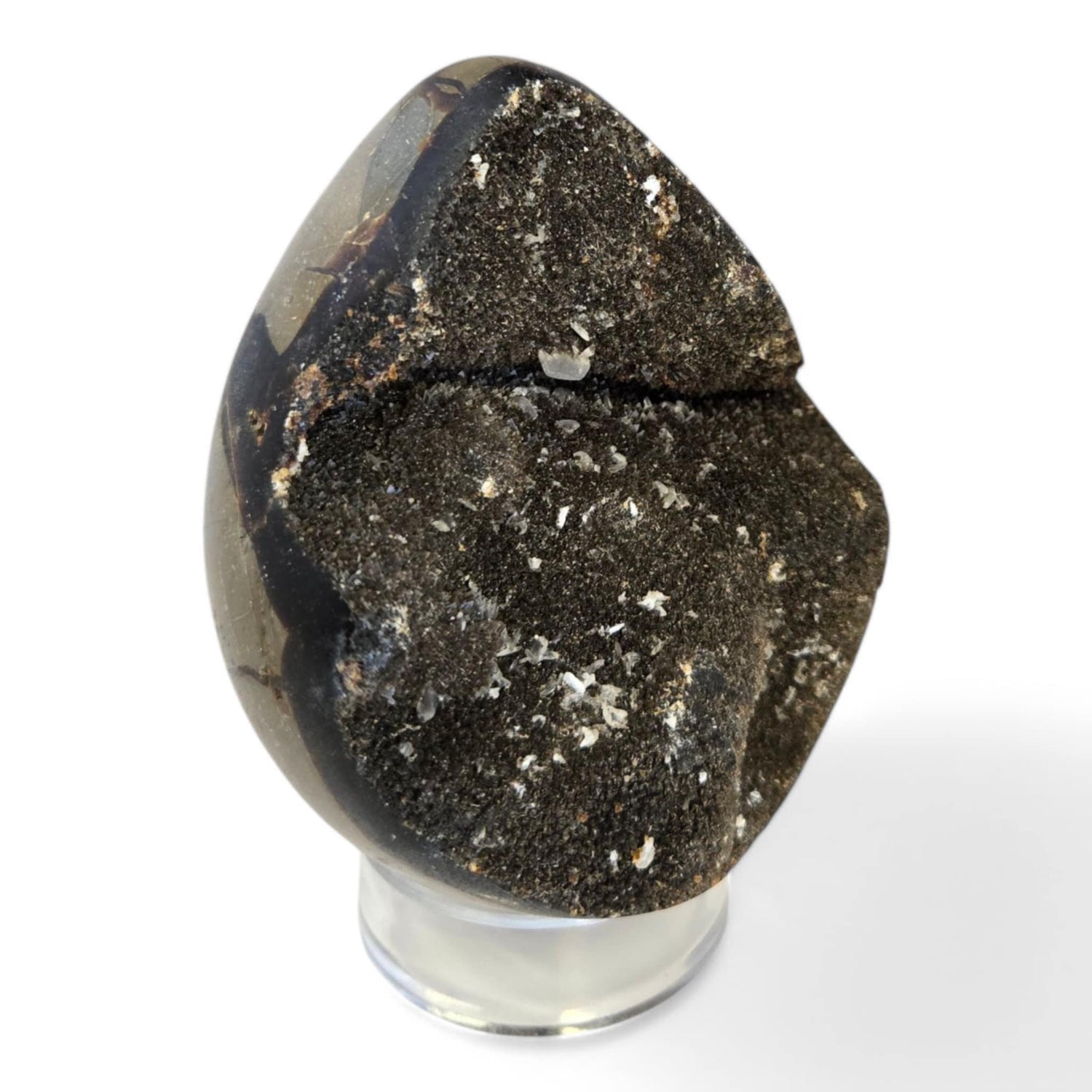 Septarian