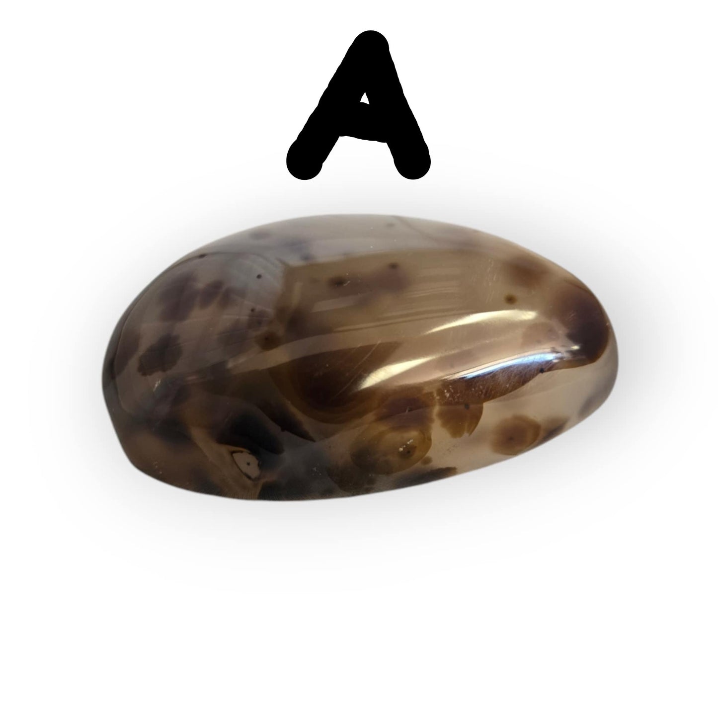 Dendritic Agate Palm Stones