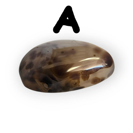 Dendritic Agate Palm Stones