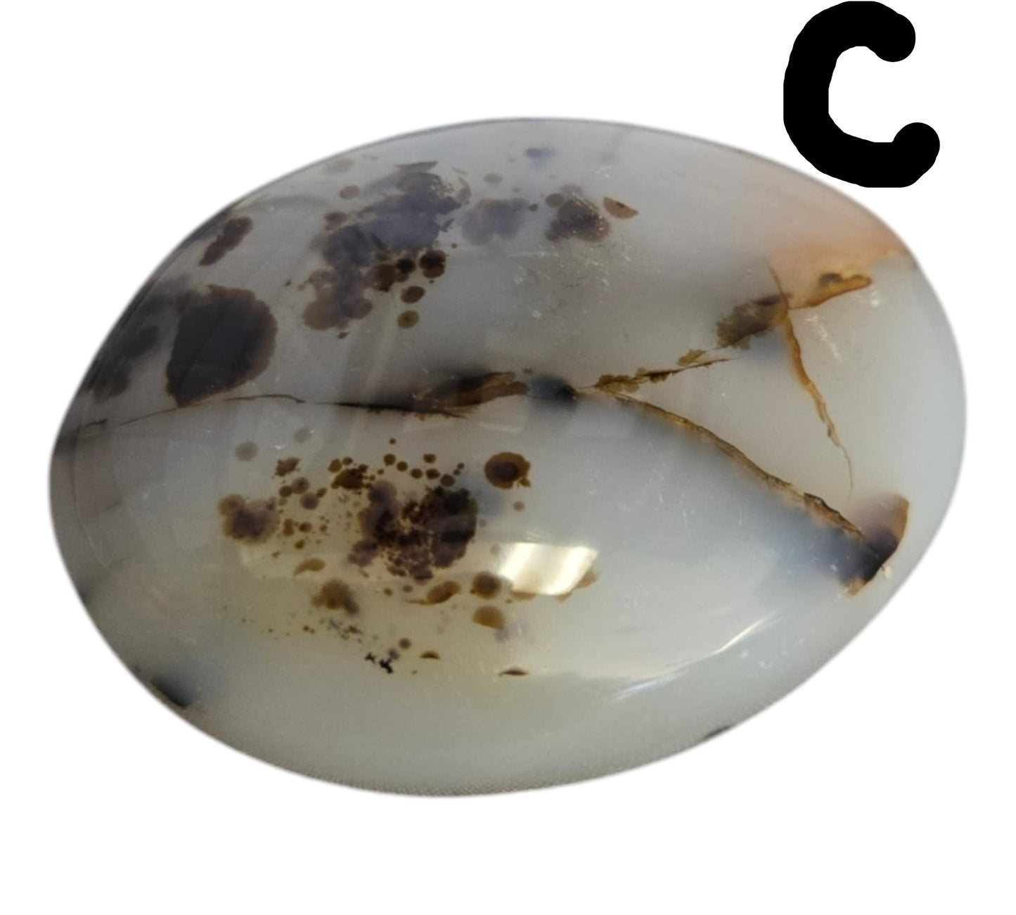 Dendritic Agate Palm Stones