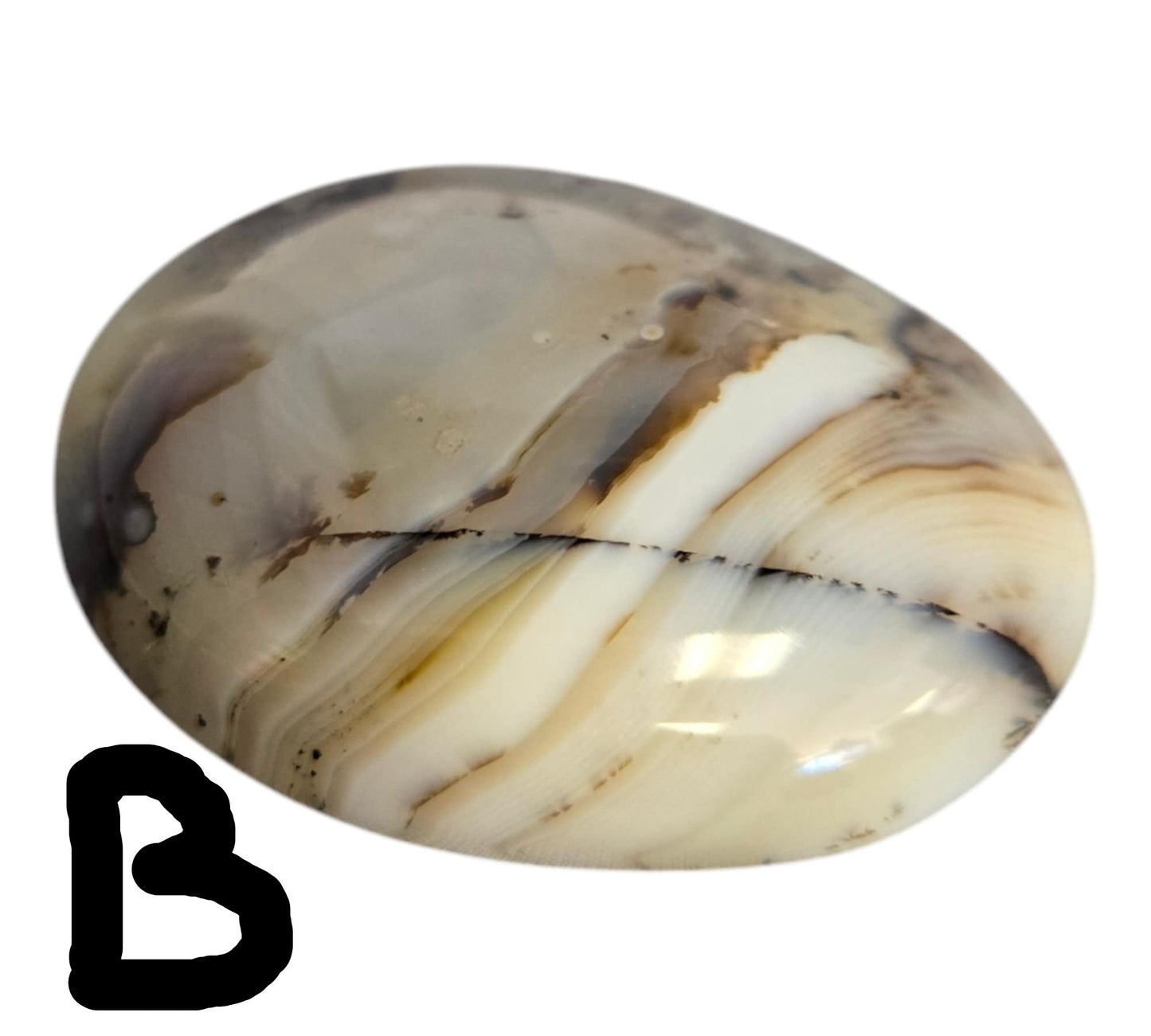Dendritic Agate Palm Stones