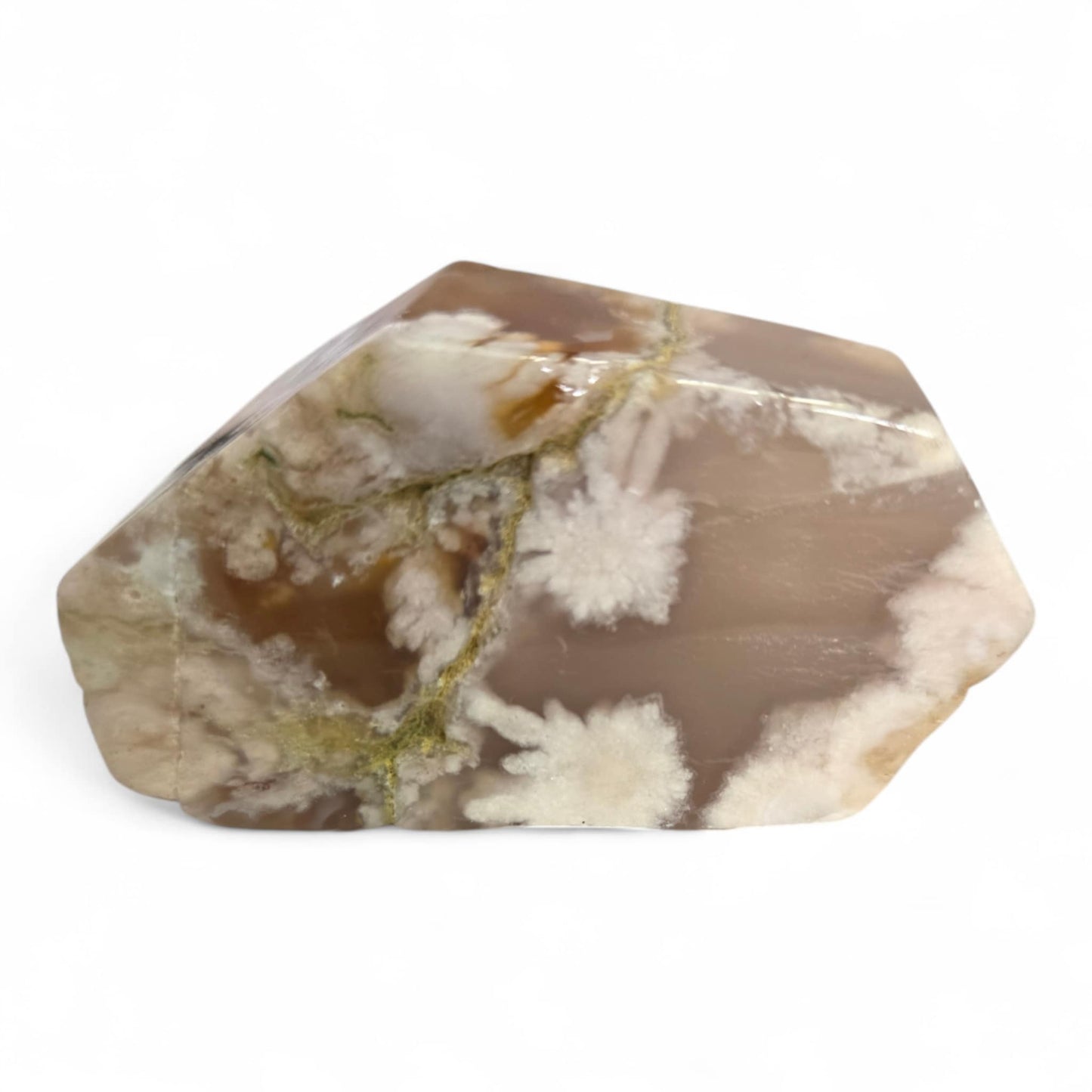 Flower Agate Cut Polished Form